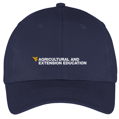 Port and Company 6-panel Twill Hat -- Navy
