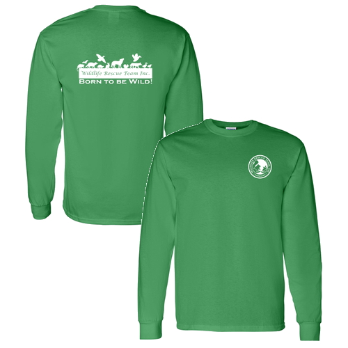 Gildan Heavy Cotton Longsleeve Basic T-Shirt -- Irish Green
