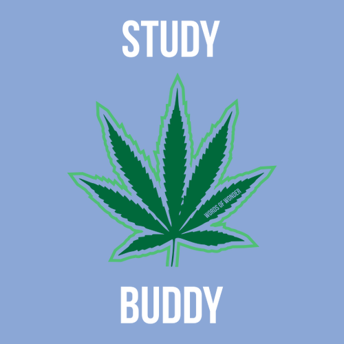 Study Buddy T-Shirt -- Blue