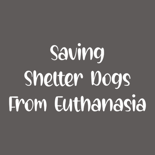 Gildan Heavy Cotton Longsleeve Basic T-Shirt -- Charcoal