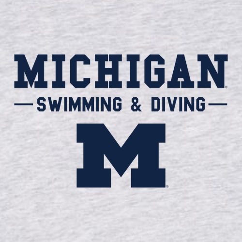 Ladies District Women's Very Important Tee Long Sleeve V-Neck -- Light Heather Grey