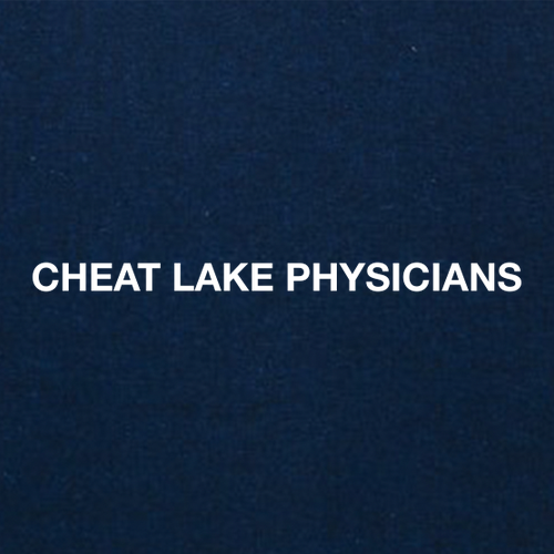 Gildan SoftStyle Fitted T-Shirt -- Heather Navy