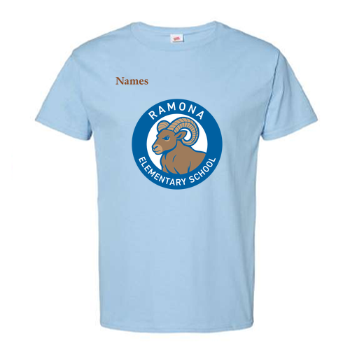 Hanes Essential ComfortSoft Short Sleeve Tee -- Carolina Blue