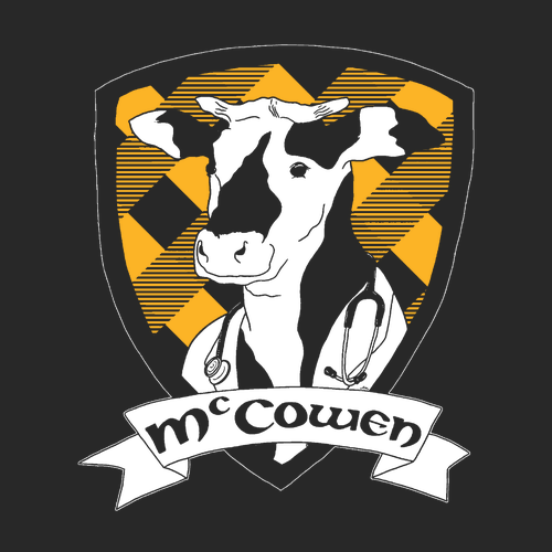 Comfort Colors Heavyweight Adult T-Shirt -- Black