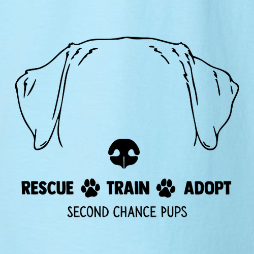 J America Unisex BTB Fleece Hooded Sweatshirt -- Sky