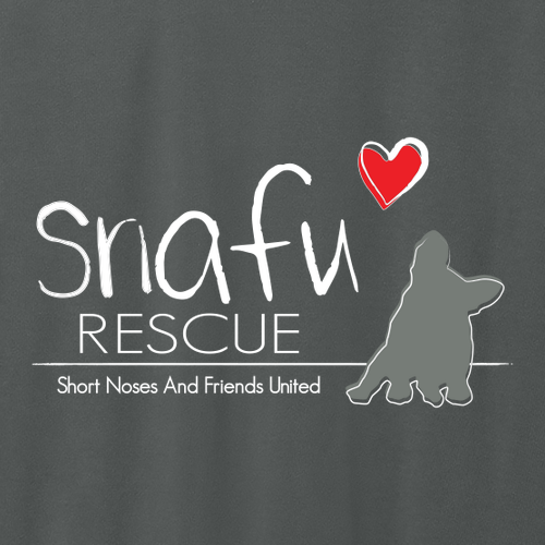 Comfort Colors Short Sleeve Pocket Tee -- Pepper