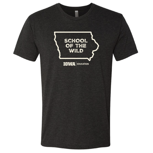 Next Level Mens TriBlend Tee -- Vintage Black