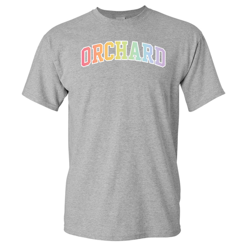 Pastel Rainbow Gildan Heavy Cotton Basic T-Shirt -- Sport Grey