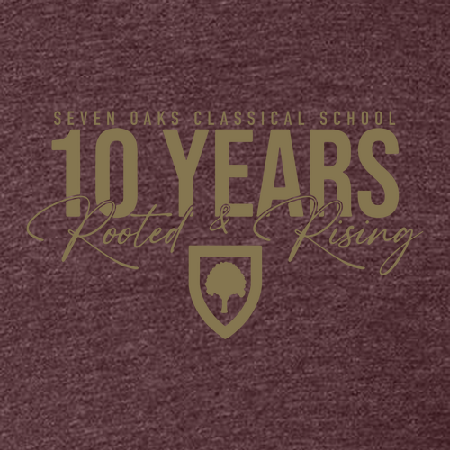 Gildan SoftStyle Adult T-Shirt -- Heather Maroon