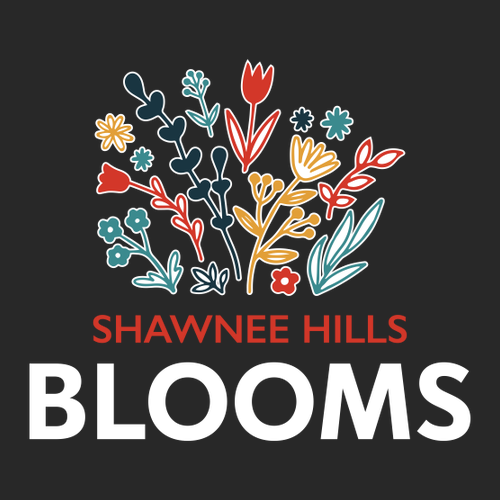 Cotton Heritage Women's V-Neck T-Shirt -- Black