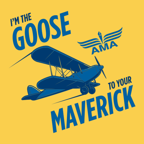 Gildan Youth Softstyle Goose to Maverick Plane T-Shirt -- Daisy