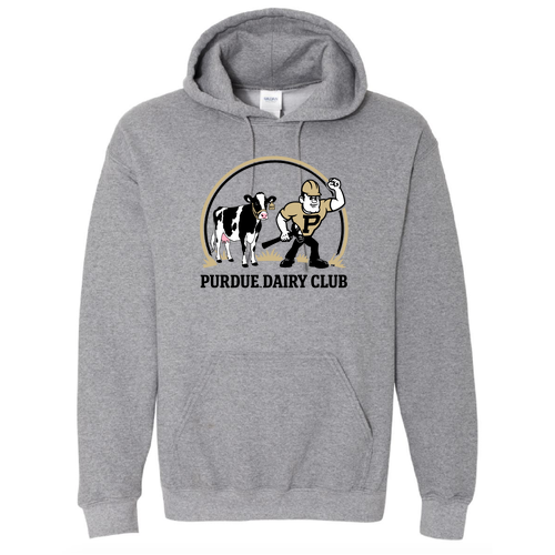Gildan Heavy Blend Hooded Sweatshirt -- Graphite Heather