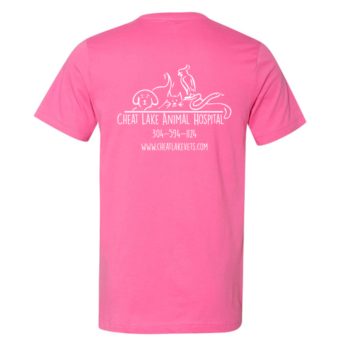 Bella Canvas Unisex Jersey T-Shirt -- Charity Pink