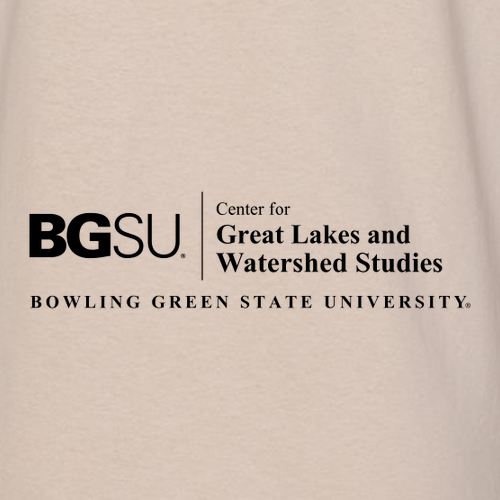 Gildan SoftStyle T-Shirt -- Sand