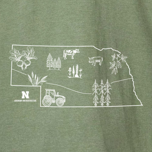 Gildan Softstyle CVC Long Sleeve Tee -- Cactus