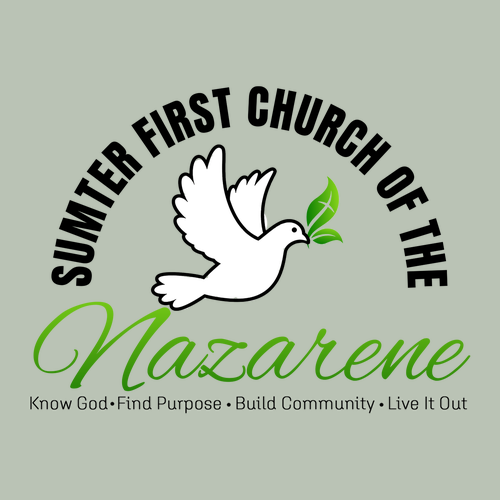 Logo Bay Comfort Colors Shirt Sumter First Church