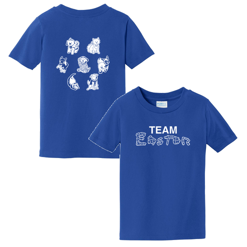 Port and Company Fan Favorite Tee -- True Royal