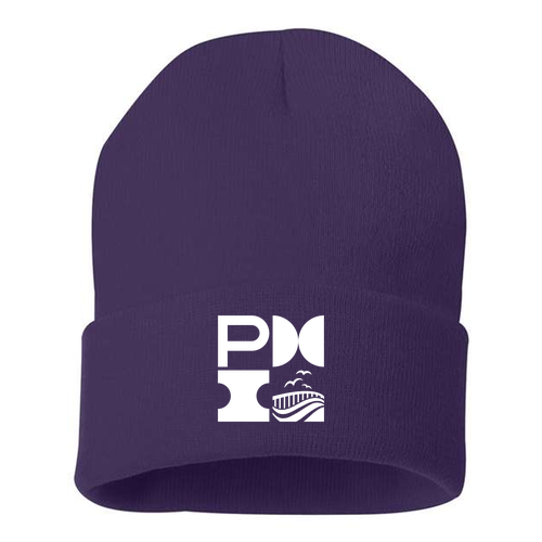 Sportsman Solid 12" Cuffed Beanie -- Purple
