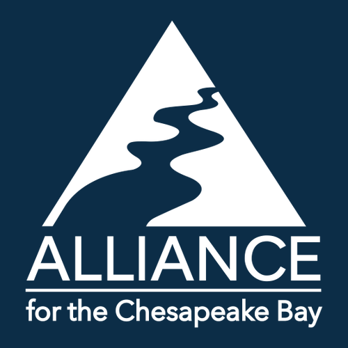 Gildan Heavy Cotton Basic T-Shirt -- Navy