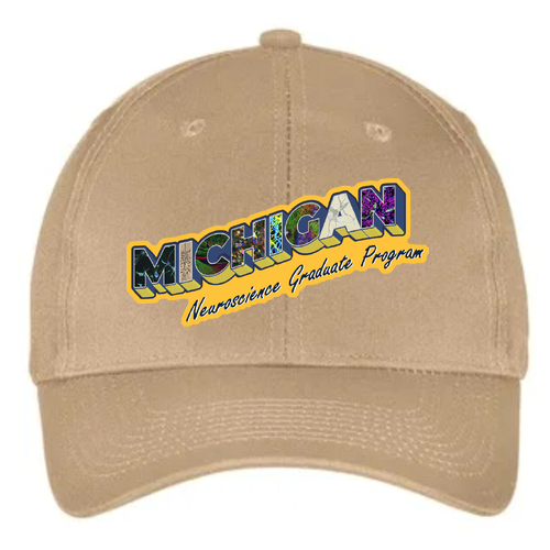 Port and Company 6-panel Twill Hat -- Khaki