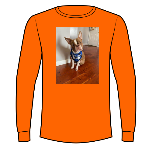 Gildan Ultra Cotton Longsleeve Basic T-Shirt -- Orange