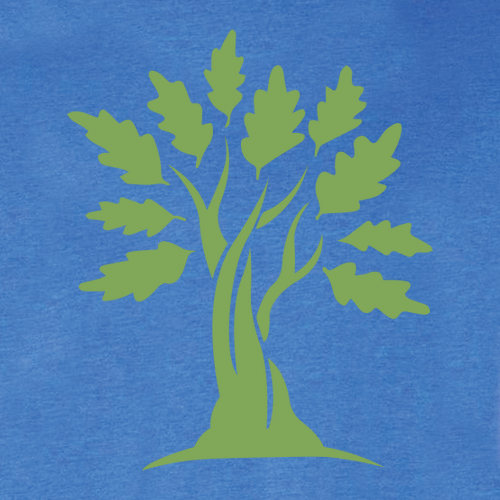Bella+Canvas Unisex Heather Cvc Long Sleeve Tee- Heathers -- Heather True Royal