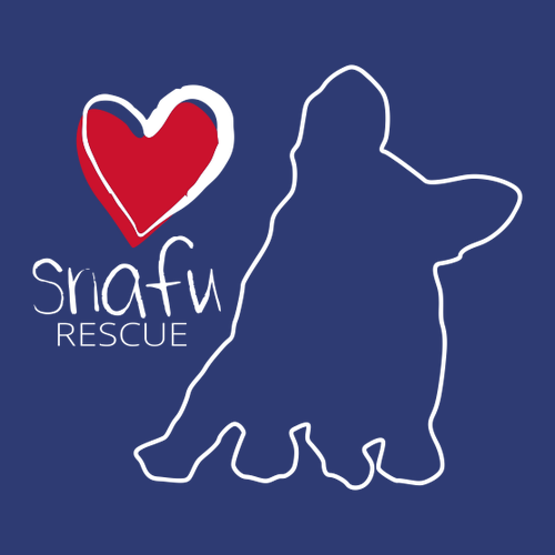 District Perfect Weight Fleece Hoodie -- Deep Royal