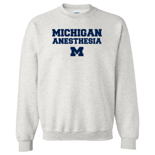 Crew Neck Sweatshirt -- Ash