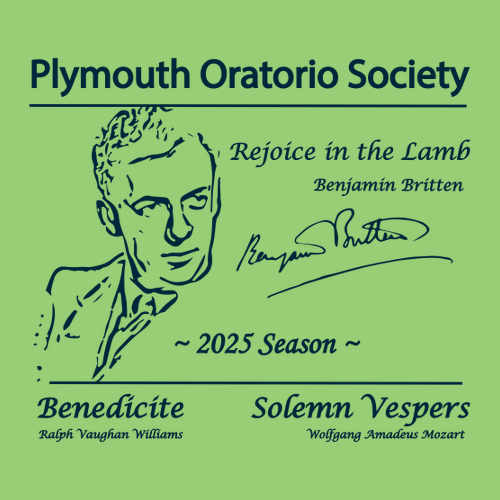 Gildan Ultra Cotton Basic T-Shirt -- Lime