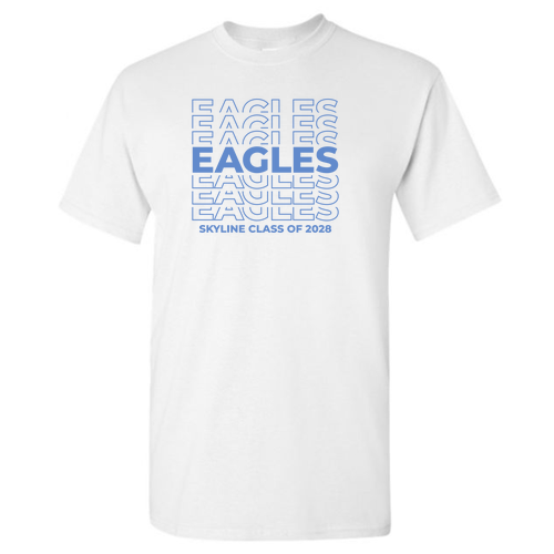 Gildan Heavy Cotton Basic T-Shirt -- White, Class of 2028