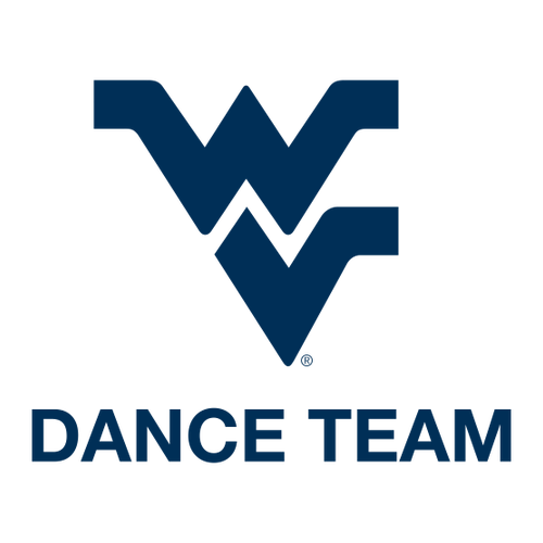 Gildan Adult Dryblend Adult Hooded Sweatshirt -- White