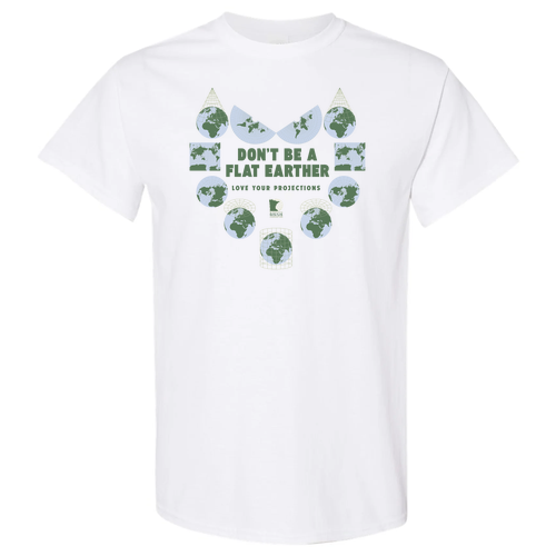 Gildan Heavy Cotton Basic T-Shirt -- White (Flat Earther Design)