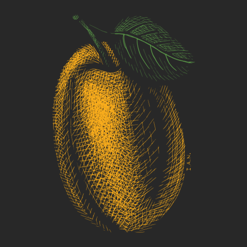 Youth Apricot Crewneck Sweatshirt -- Black