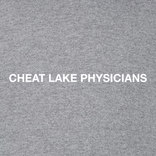 Gildan Heavy Cotton Longsleeve Basic T-Shirt -- Graphite Heather