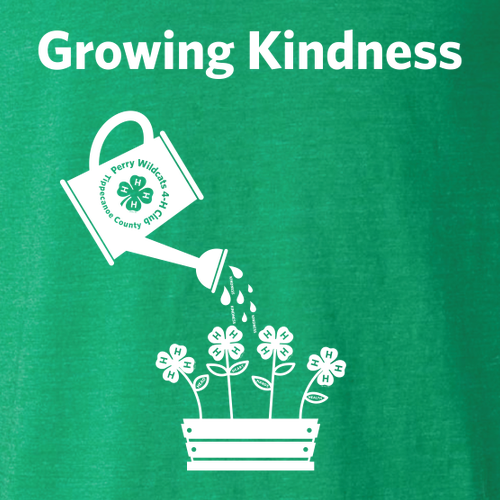 Gildan Heavy Cotton Basic Youth T-Shirt -- Irish Green