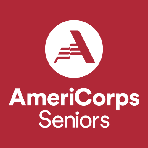 Gildan Heavy Cotton Basic T-Shirt -- Red