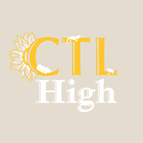 CTL High Tote -- Natural