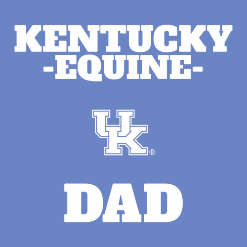 Comfort Colors Heavyweight Adult T-Shirt -- Flo Blue DAD