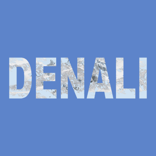 Gildan SoftStyle T-Shirt -- Iris