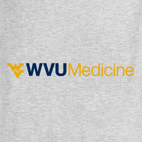 Gildan Heavy Cotton Basic T-Shirt -- Ash