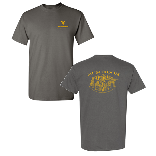 Gildan Heavy Cotton Basic T-Shirt -- Charcoal