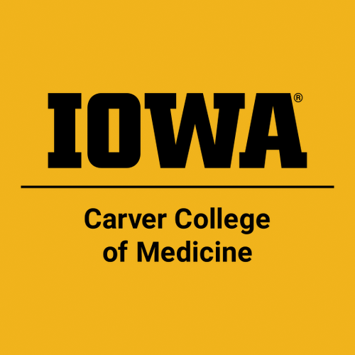 Embroidered Valucap Bio-Washed Unstructured Hat -- Gold