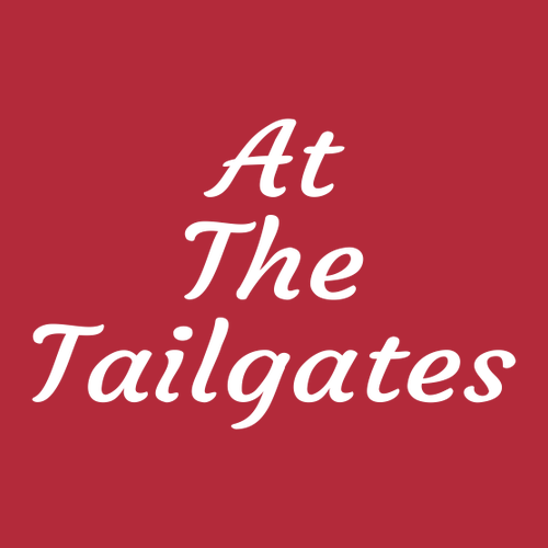 Gildan Heavy Cotton Longsleeve Basic T-Shirt -- Red