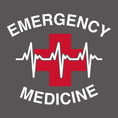 Gildan Softstyle Longsleeve T Shirt -- Charcoal