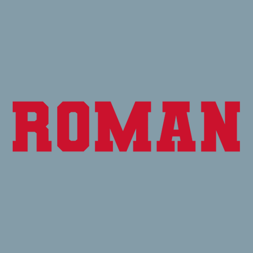 Men's Heavyweight Tee -- Vintage Denim ROMAN