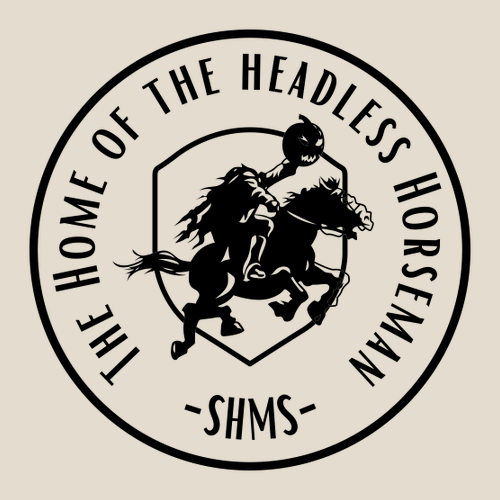 Gildan Ultra Cotton Longsleeve Basic T-Shirt -- Natural