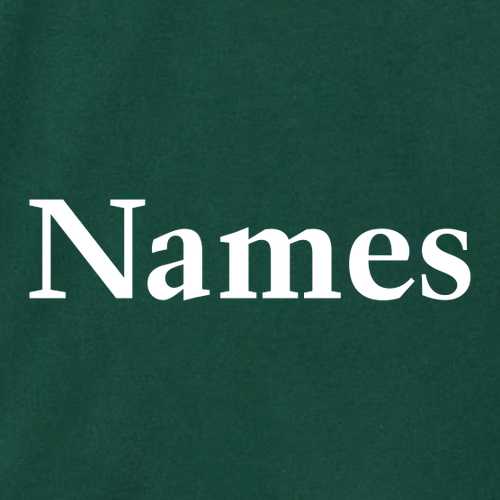 Bella Canvas Unisex Jersey T-Shirt -- Forest
