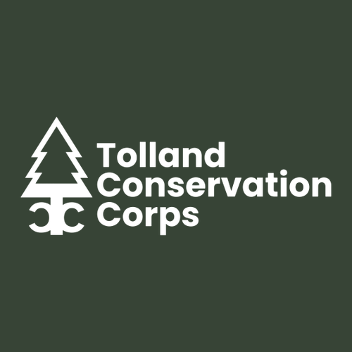 Cutter & Buck Prospect Textured Stretch Women's Short Sleeve Polo -- Hunter