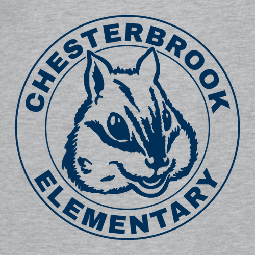 Gildan Youth Softstyle T-Shirt -- Sport Grey