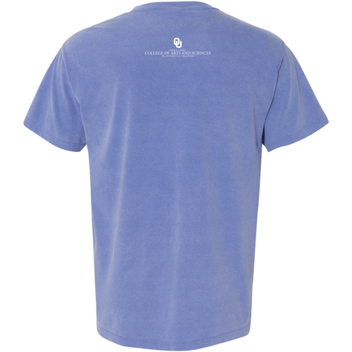 Comfort Colors Ringspun Garment Dyed T Shirt -- Periwinkle